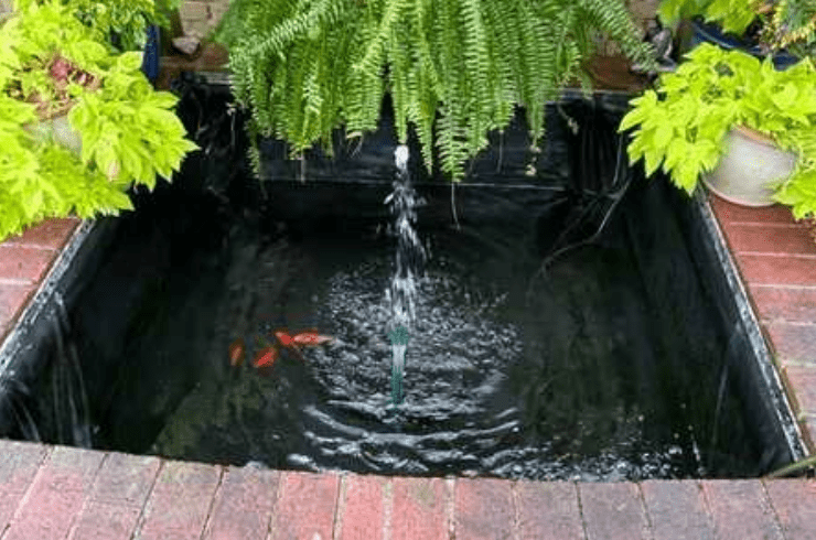 Vortex Aquatics