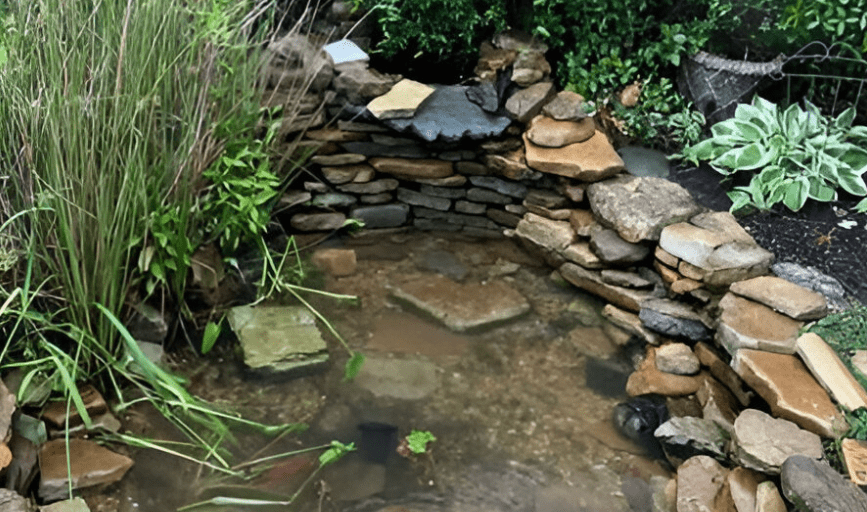 Vortex Aquatics
